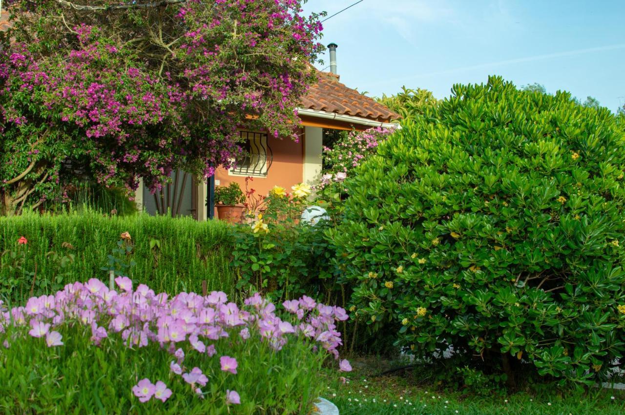 Villa Rose Garden Melíkia Exterior foto